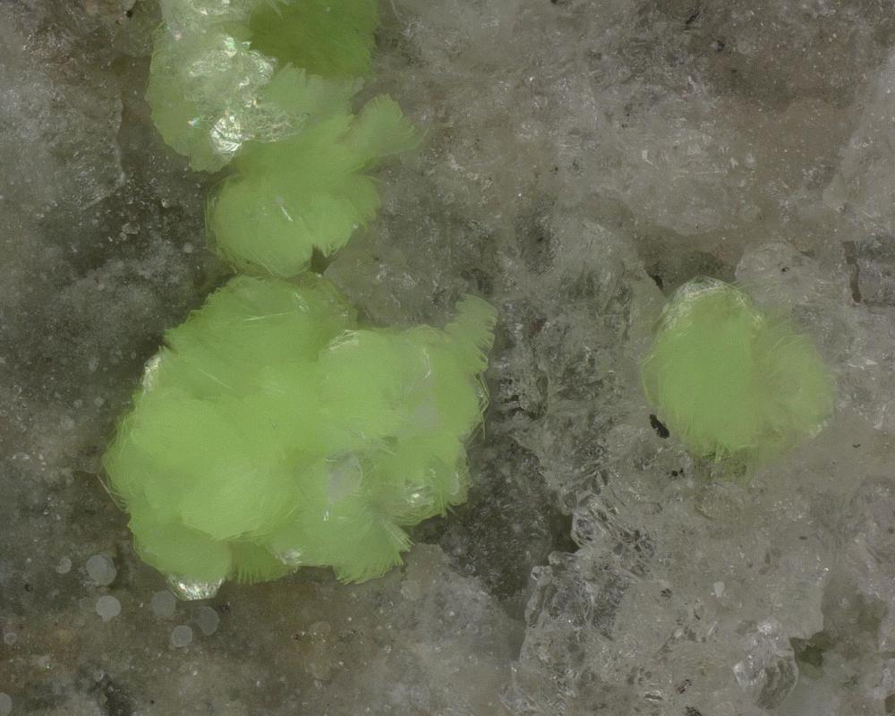 Schröckingerite